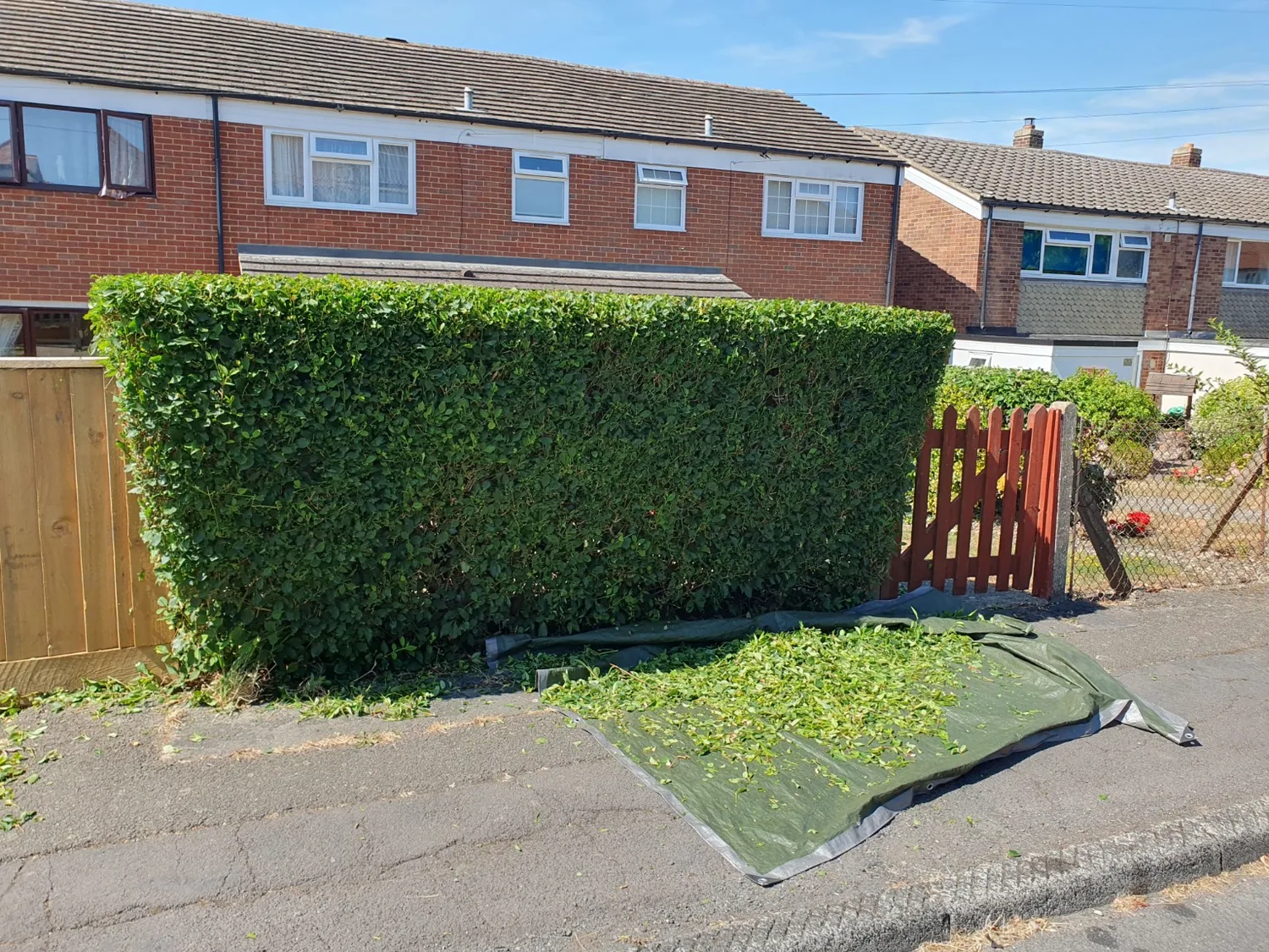A freshly trimmed boundary hedge